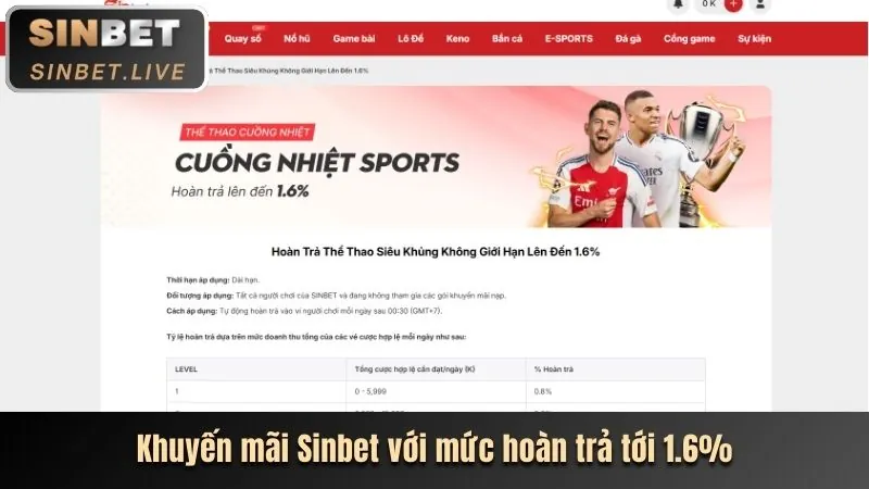 Hình ảnh minh họa cho bài viết về hướng dẫn cá cược thể thao tại 3king trang chủ chính thức